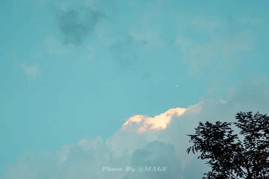 2023-07-22 · 第 7 张