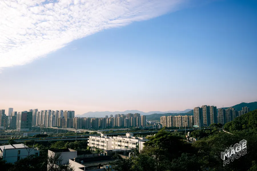 2023-11-19 封面