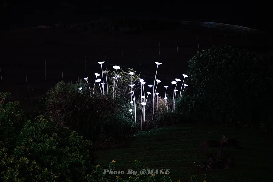 2023-06-21 · 第 2 张