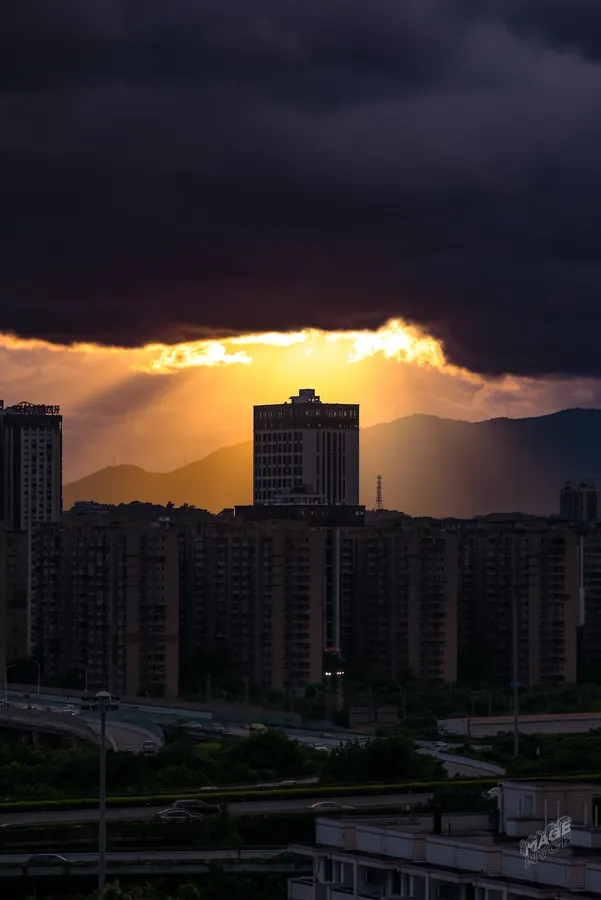 2025-06-12 封面