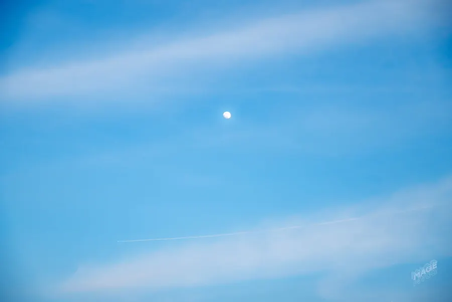 2026-01-30 · 第 8 张