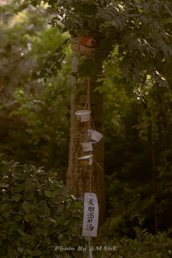 2023-07-06 · 第 4 张