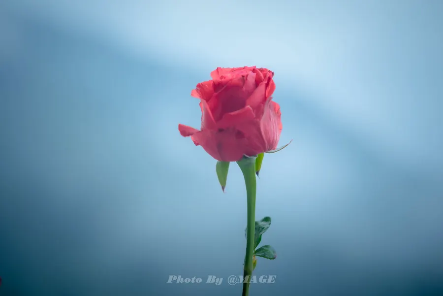 2023-05-18 封面