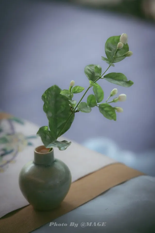 2023-06-04 封面