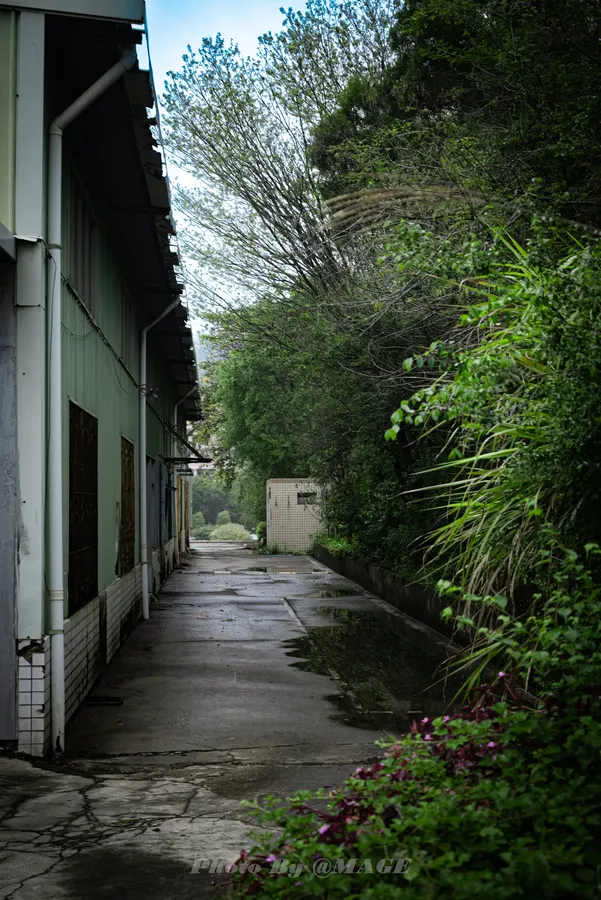 2023-03-26 · 第 10 张