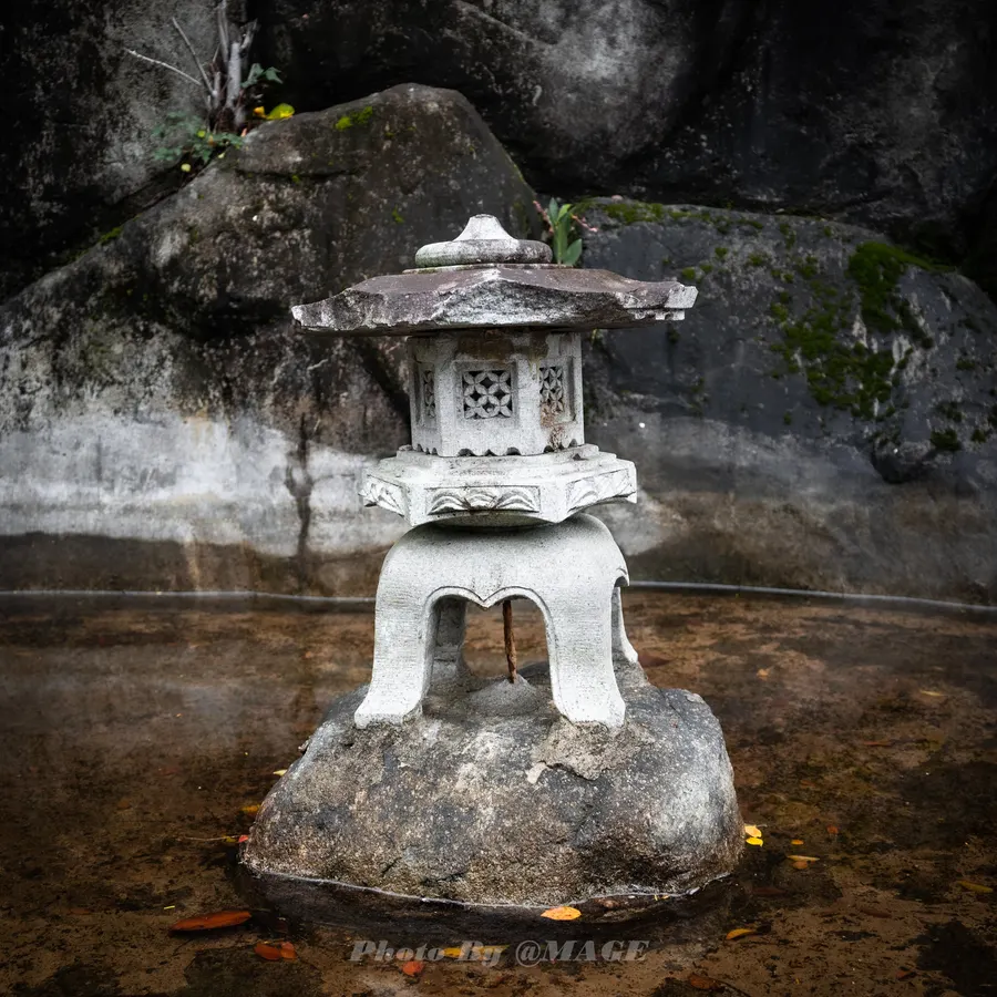 2023-03-26 封面