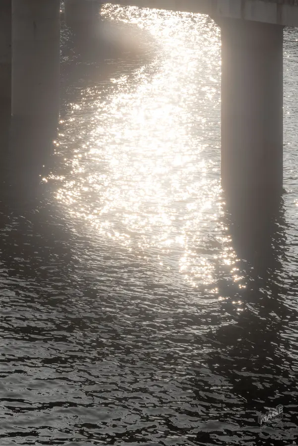 2026-02-02 · 第 5 张
