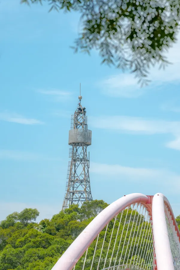 2023-05-03 · 第 7 张