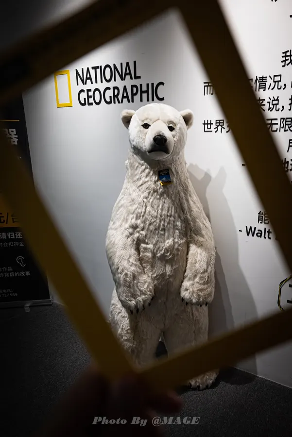 2023-04-01 封面