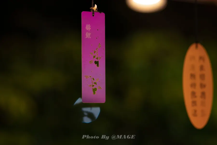 2023-05-30 · 第 10 张
