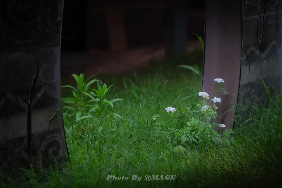 2023-05-20 · 第 6 张